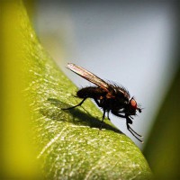 /album/scorapproxem/photolia-a04-jpg/