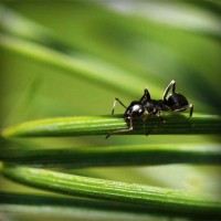 /album/scorapproxem/photolia-a05-jpg/