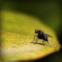 /album/scorapproxem/photolia-a07-jpg/