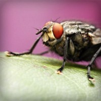 /album/scorapproxem/photolia-a08-jpg/